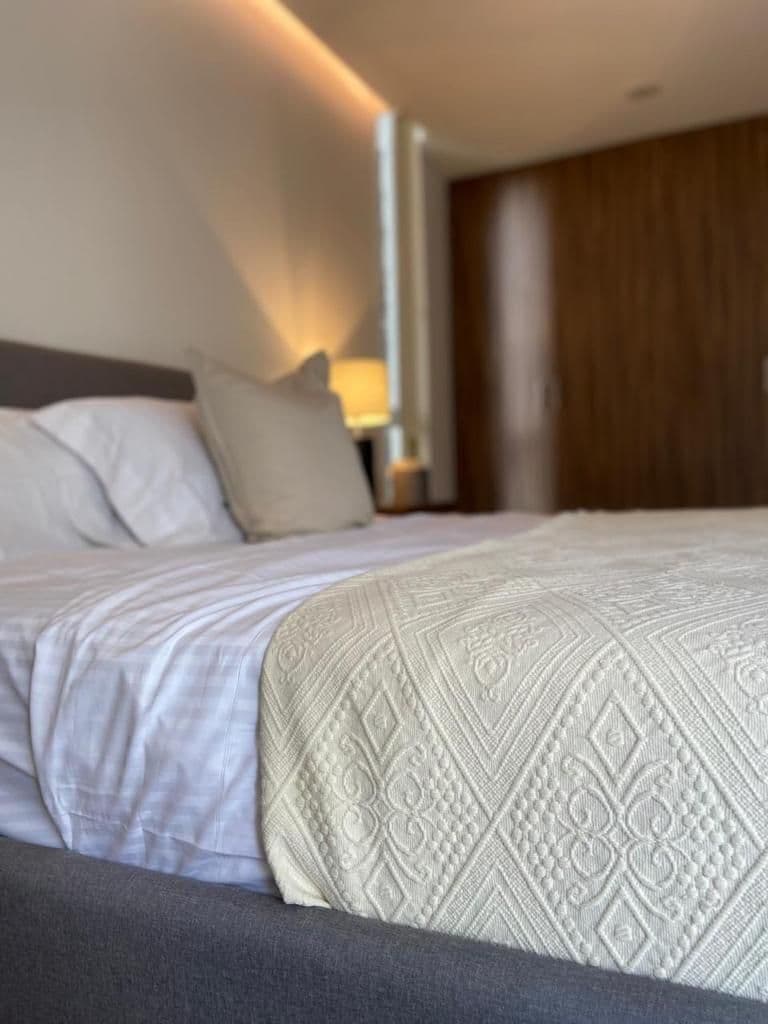 DEPARTAMENTO EN VENTA  CHAPULTEPEC SAN LUIS POTOSÍ 13