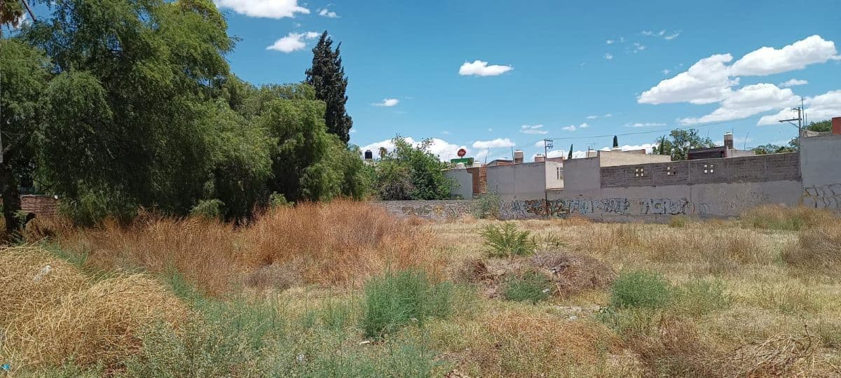 Terreno en venta en Benigno Arriaga, cerca de Arista 3,000 m2 1/9