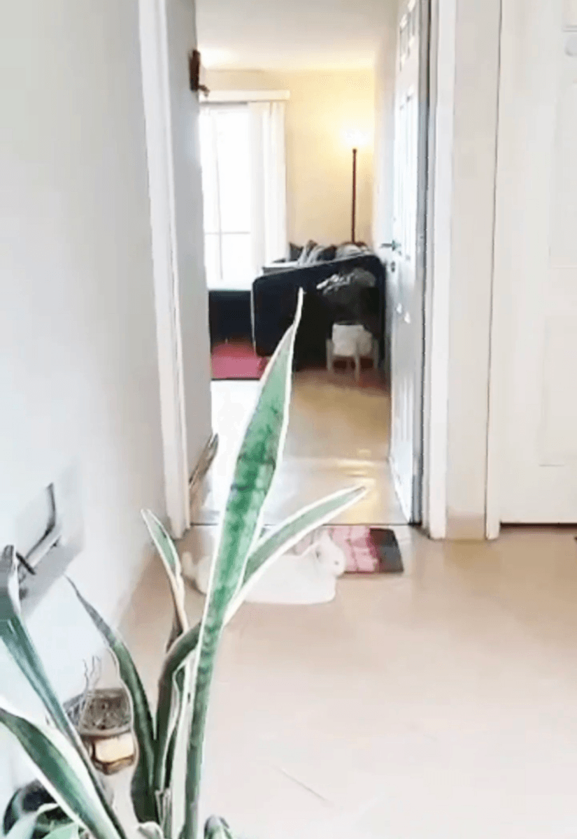 Departamento en Venta Privada Los almendros, enfrente de la TTP 2 recs, 1 baño 2