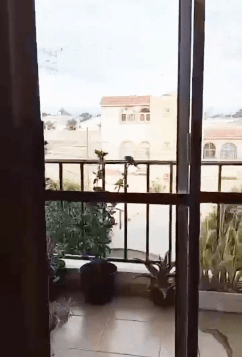 Departamento en Venta Privada Los almendros, enfrente de la TTP 2 recs, 1 baño 3
