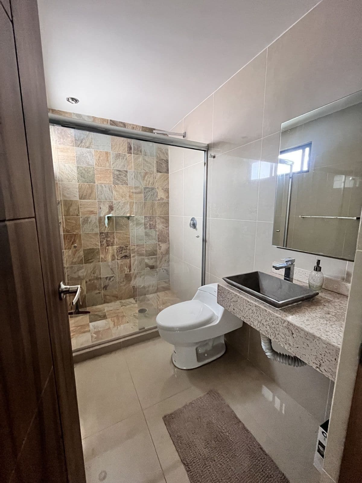 Departamento  En venta Amueblado  En San Luis Potosi 14