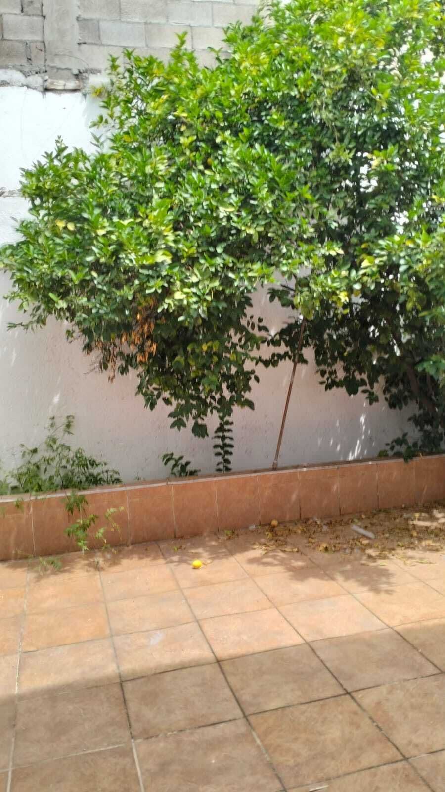 Casa en venta en jardines de Oriente 4 recámaras 2 baños 2 medios baños 3