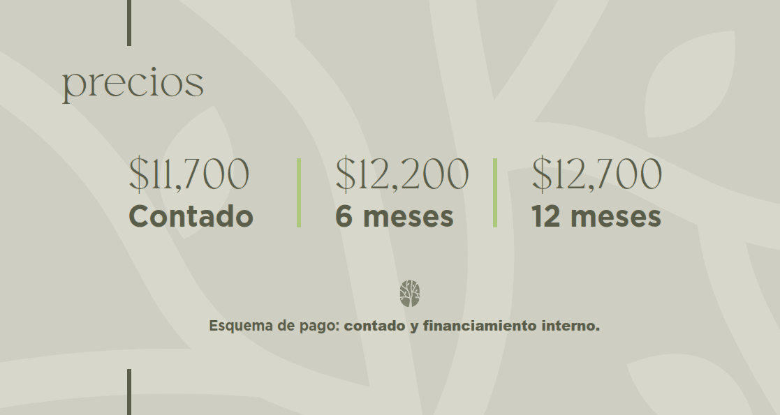 Boscalia Residencial, un nuevo bosque en el poniente, terrenos en venta. 11