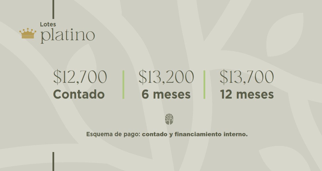 Boscalia Residencial, un nuevo bosque en el poniente, terrenos en venta. 12