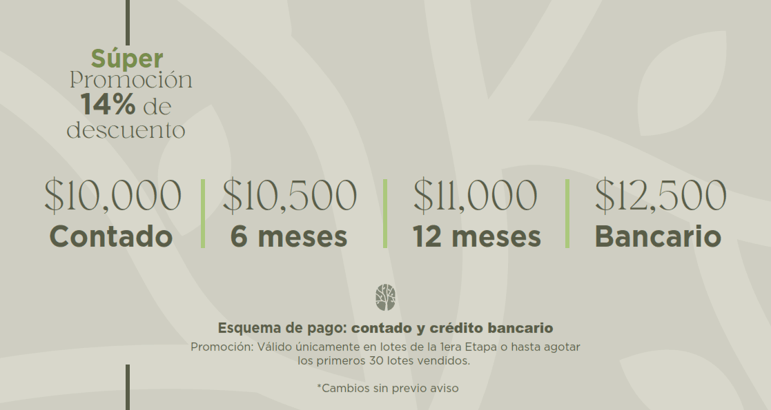 Boscalia Residencial, un nuevo bosque en el poniente, terrenos en venta. 13