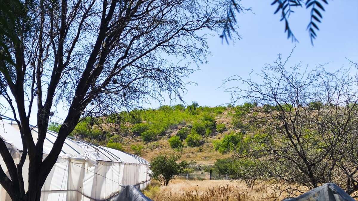 CASA DE CAMPO EN VENTA EN DELEGACION LA PILA, S.L.P. 7