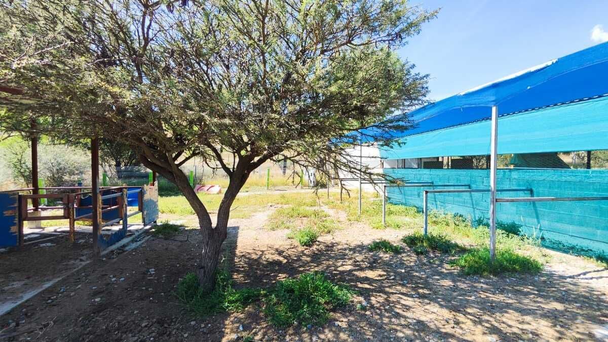 CASA DE CAMPO EN VENTA EN DELEGACION LA PILA, S.L.P. 9