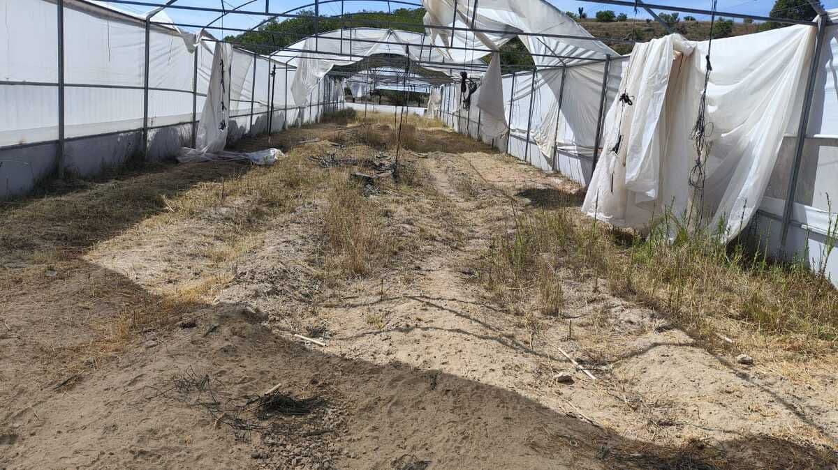 CASA DE CAMPO EN VENTA EN DELEGACION LA PILA, S.L.P. 11