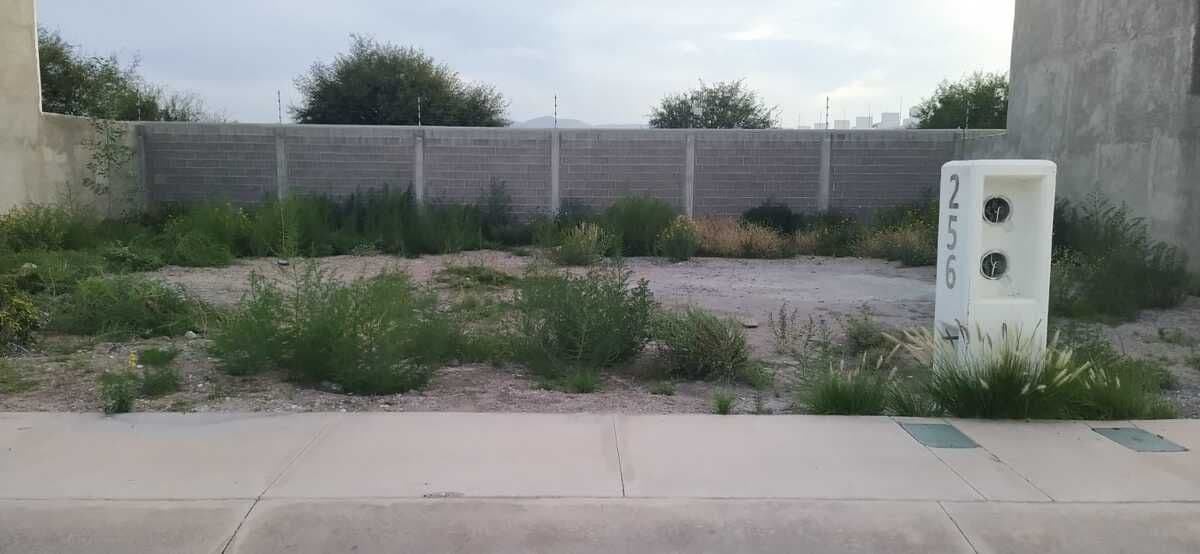 Terreno  en Venta en Zibari plano de 126m2, Villa de Pozos. 1/13