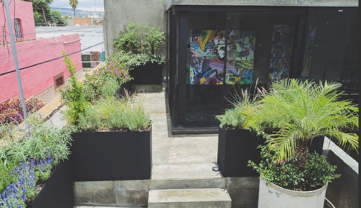 Venta de casa en el Centro de San Lusi Potosi 6