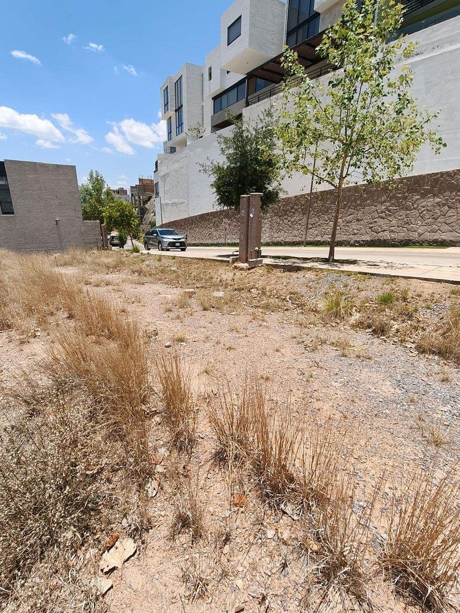 Terrenos residenciales en Monterra 7