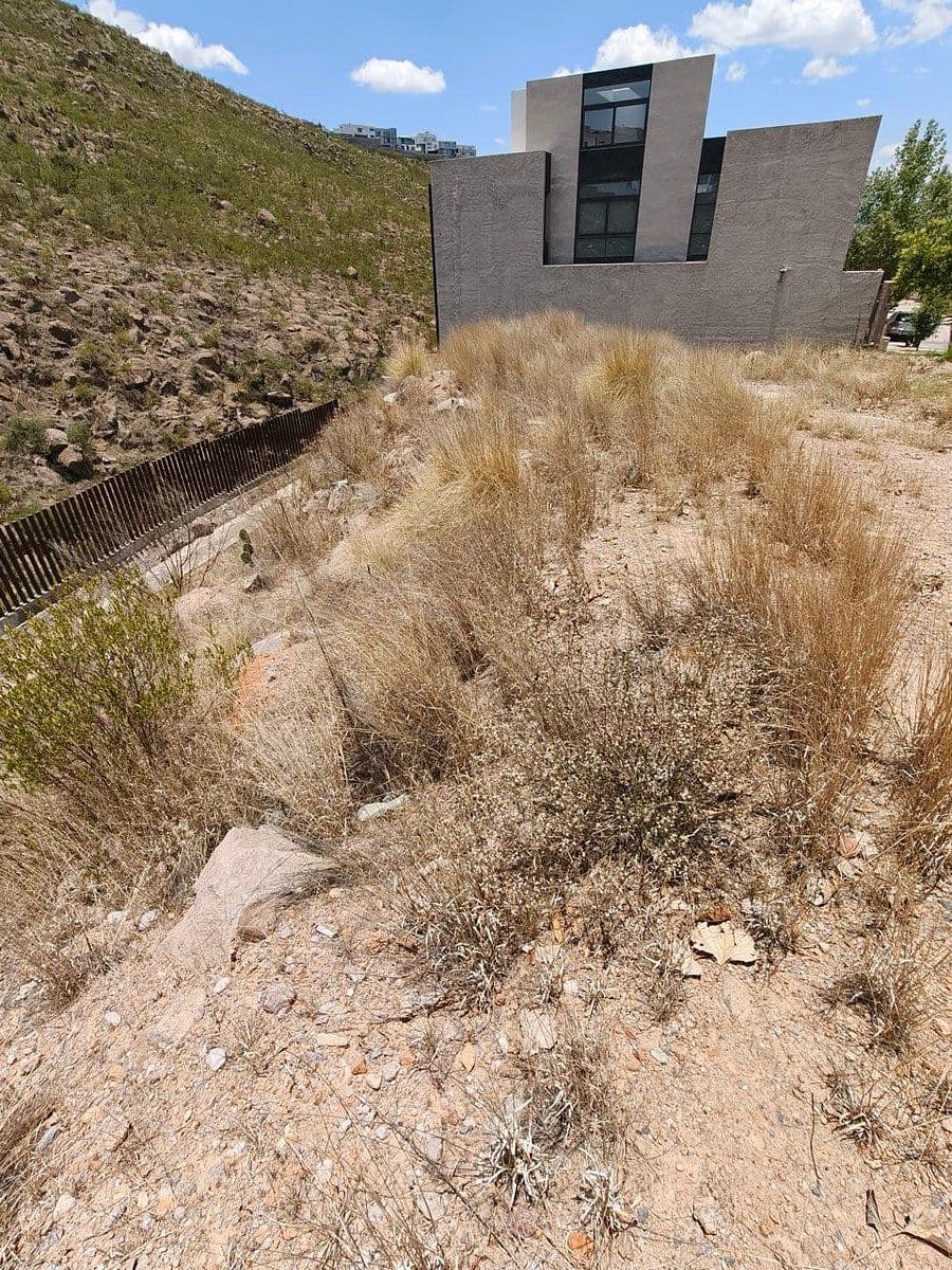 Terrenos residenciales en Monterra 8
