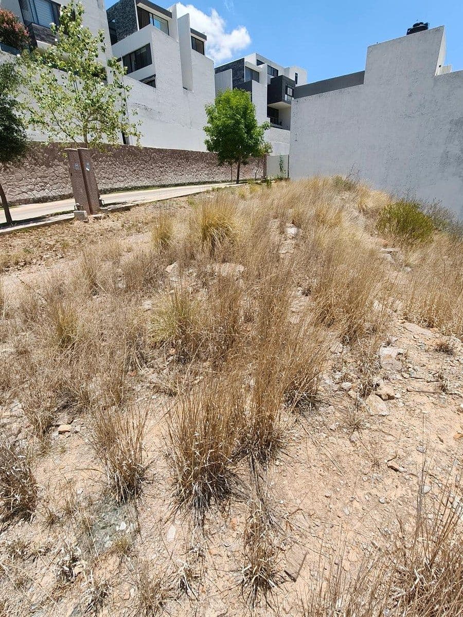 Terrenos residenciales en Monterra 11
