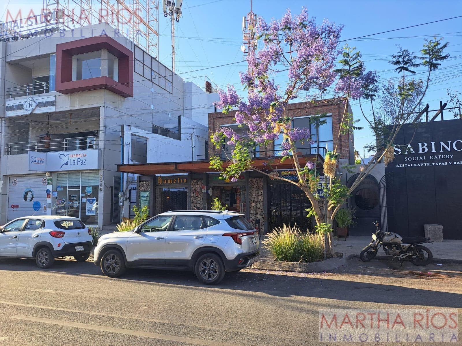 Local en Renta en San Luis Potosí, San luis Potosí